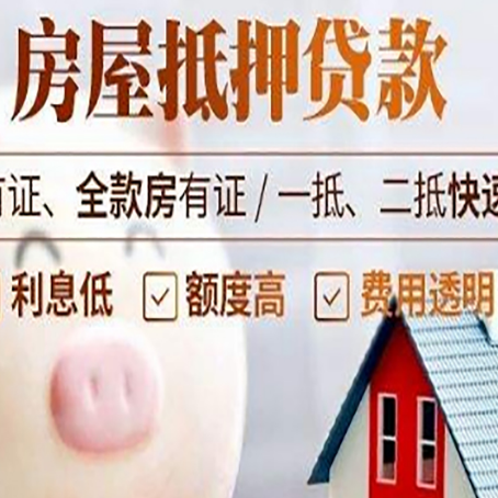沙县贷款助贷公司新渝启服成立时间久